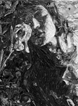L0604 Remixed: Muniz on Weston